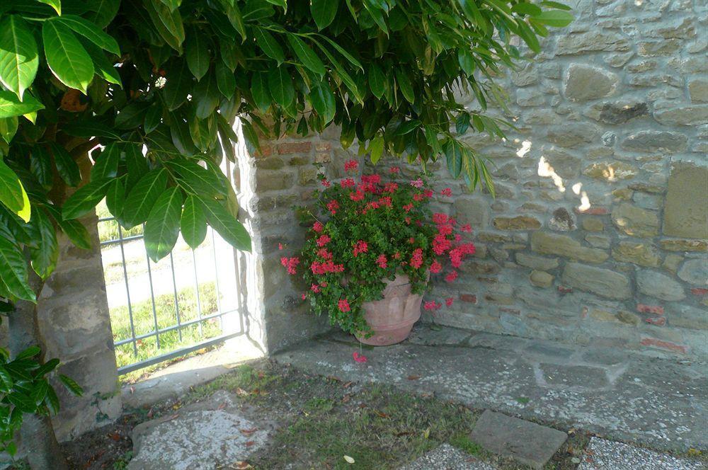 Il Gelso Apartment Cortona Ngoại thất bức ảnh